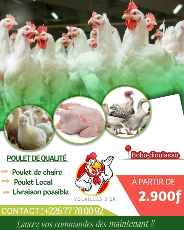 Lassane
