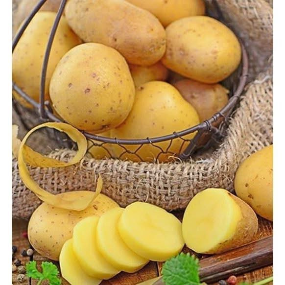 OUEDRAOGO