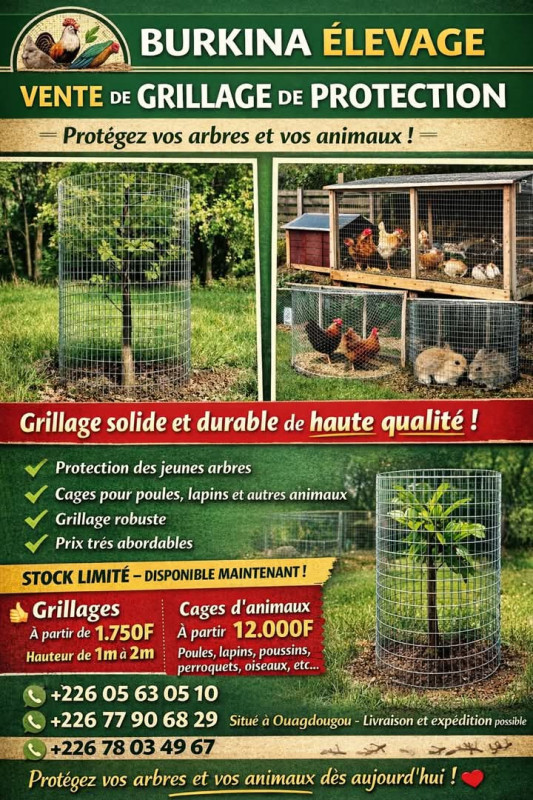 Grillage Monde